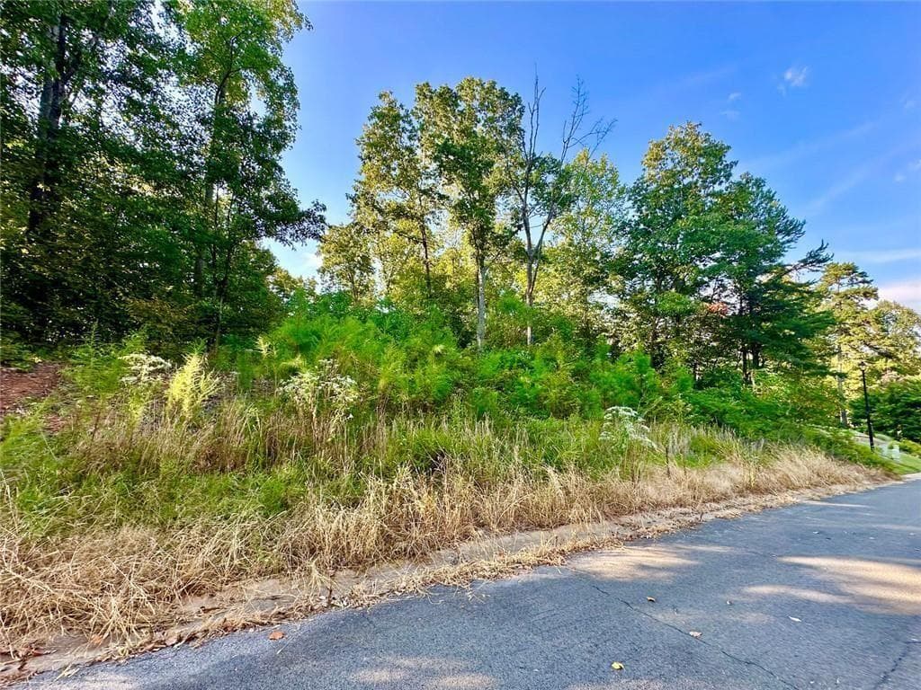 other for sale at 98 Magnolia Court, Summerville, GA 30747 — photo 5