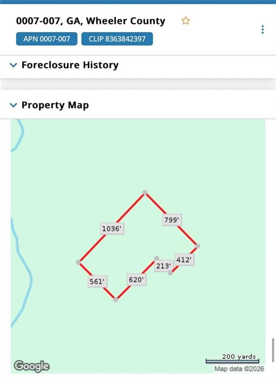 unimproved land for sale at 20 AC Hope Church & Rt. 149, Mcrae, GA 30310 — photo 1 of 4