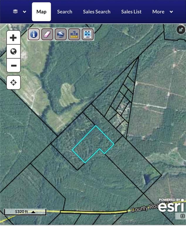 unimproved land for sale at 20 AC Hope Church & Rt. 149, Mcrae, GA 30310 — photo 2
