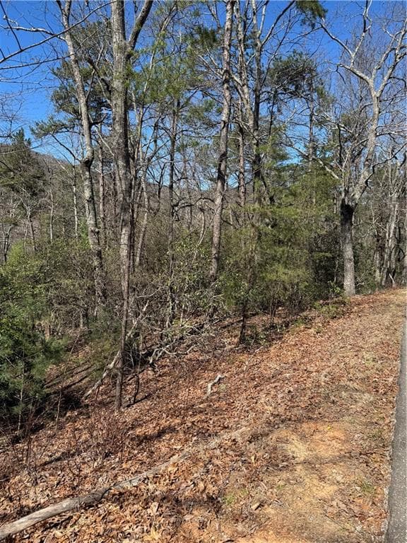 single family residence for sale at 5504 Red Fox Drive, Big Canoe, GA 30143 — photo 2