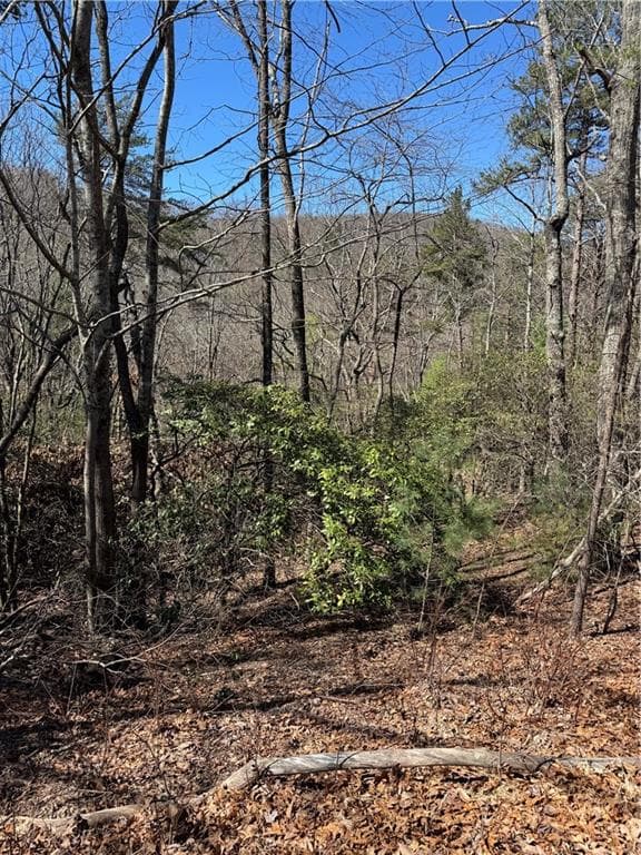 single family residence for sale at 5504 Red Fox Drive, Big Canoe, GA 30143 — photo 3