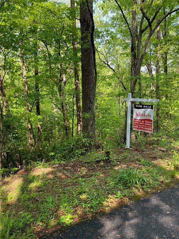 unimproved land for sale at 31 Valhalla Drive, Cleveland, GA 30528 — photo 1 of 3