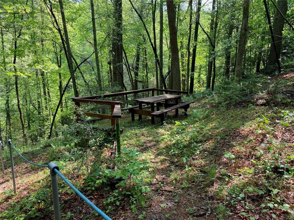 unimproved land for sale at 31 Valhalla Drive, Cleveland, GA 30528 — photo 3