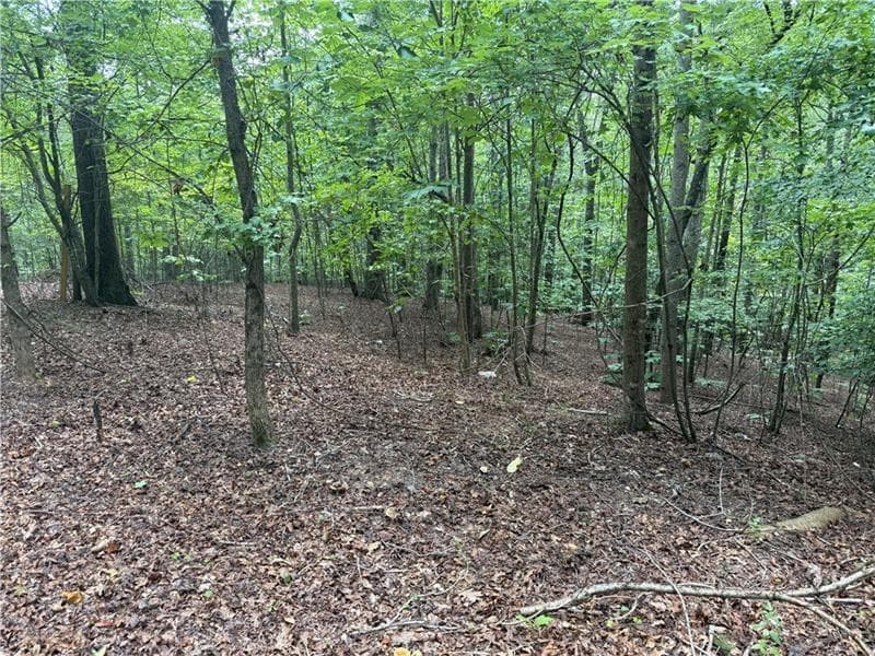 single family residence for sale at 140 Joe Green Lane, Canton, GA 30114