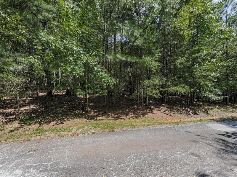 single family residence for sale at 140 Joe Green Lane, Canton, GA 30114 — photo 3