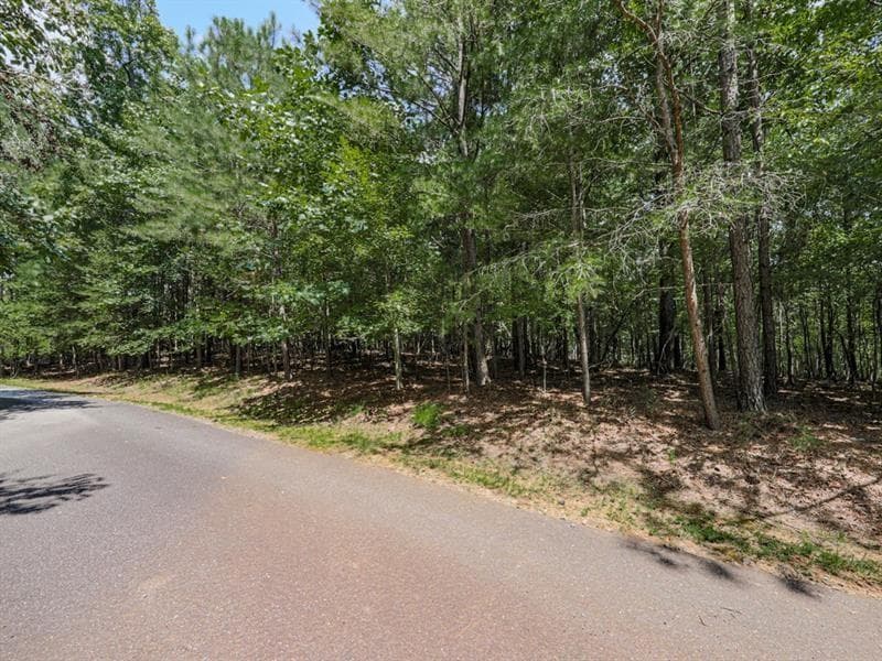 single family residence for sale at 140 Joe Green Lane, Canton, GA 30114 — photo 5