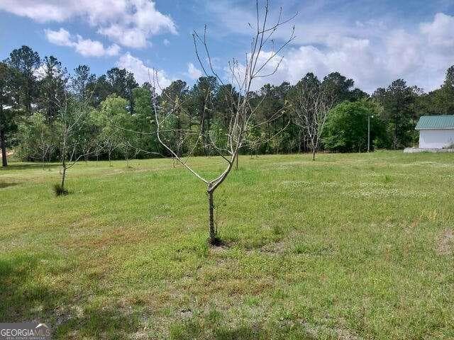 5 bedroom, 3 bathroom, 1,880 sq ft single family residence for sale at 152 Seaweed Road, Fitzgerald, GA 31750 — photo 4