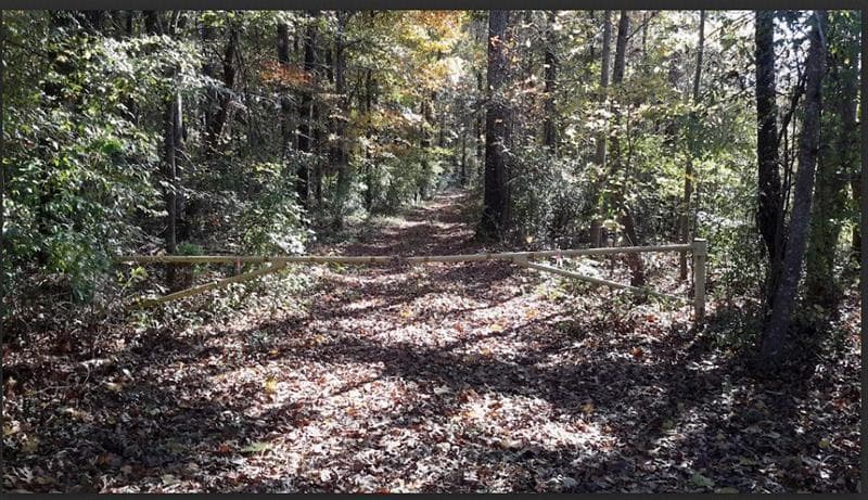 other for sale at 1047 Ponder Trammell Road, Juliette, GA 31046 — photo 2