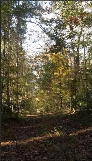 other for sale at 1047 Ponder Trammell Road, Juliette, GA 31046 — photo 3