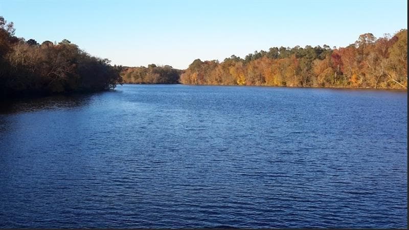 other for sale at 1047 Ponder Trammell Road, Juliette, GA 31046 — photo 6
