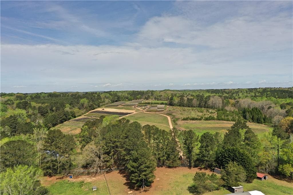 unimproved land for sale at 6039 Walker Bennett Road, Loganville, GA 30052 — photo 4