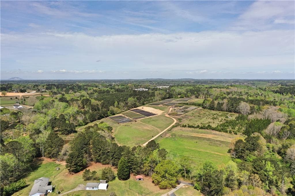 unimproved land for sale at 6039 Walker Bennett Road, Loganville, GA 30052 — photo 7