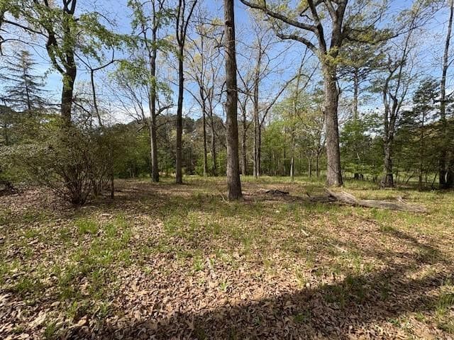 3 bedroom, 1 bathroom, 1,214 sq ft single family residence under contract at 1519 New Hope Road, Lawrenceville, GA 30045 — photo 6