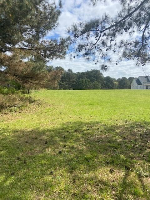 4A Horseshoe Road