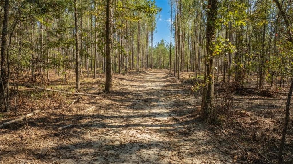 2 bedroom, 1 bathroom other for sale at 1239 Livingston Road, Rome, GA 30161 — photo 5