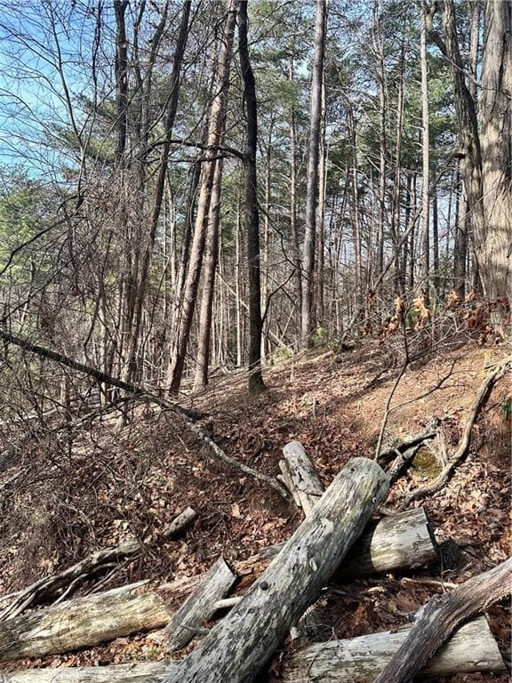 unimproved land for sale at 0 Log Swamp Drive, Jasper, GA 30143 — photo 1 of 7