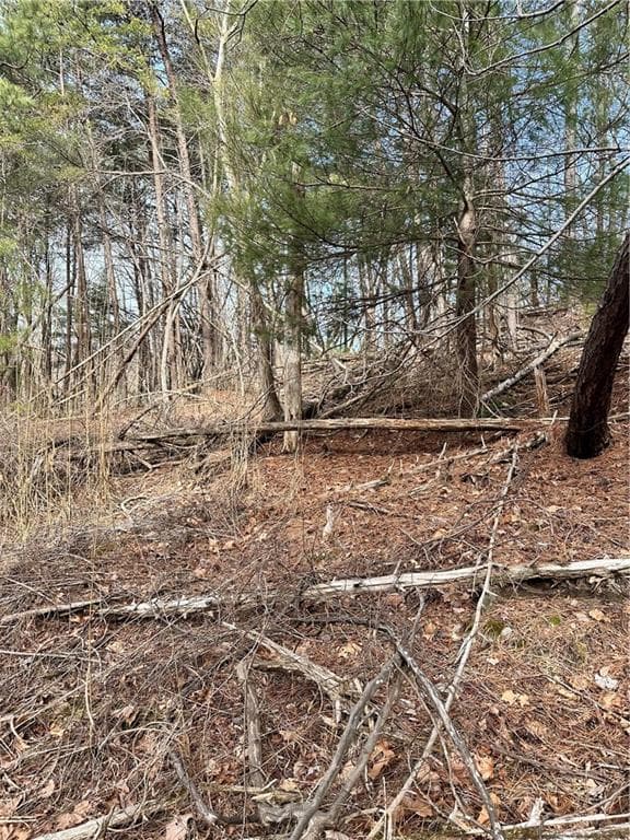 unimproved land for sale at 0 Log Swamp Drive, Jasper, GA 30143 — photo 2