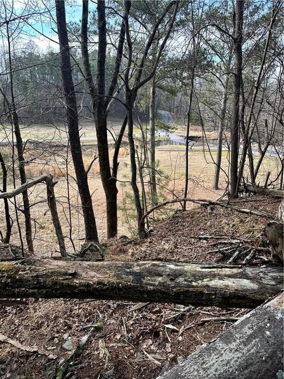 unimproved land for sale at 0 Log Swamp Drive, Jasper, GA 30143 — photo 3