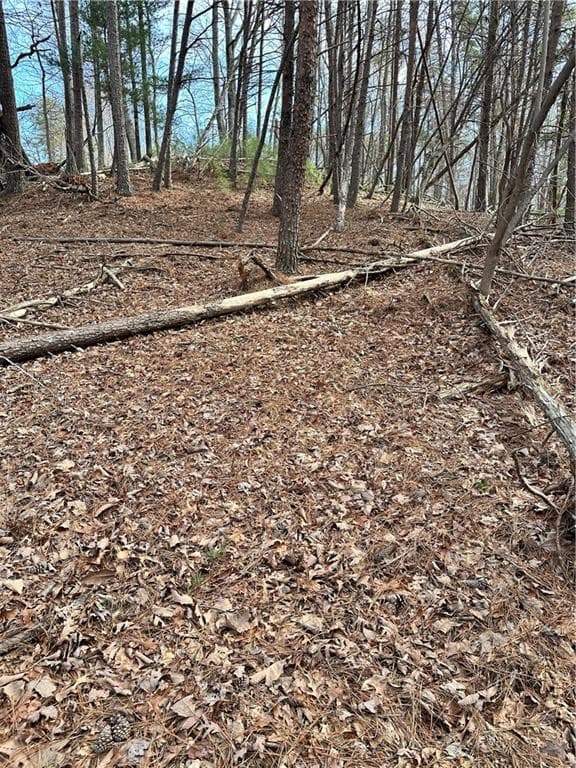 unimproved land for sale at 0 Log Swamp Drive, Jasper, GA 30143 — photo 4