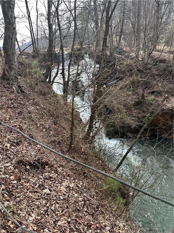 unimproved land for sale at 0 Log Swamp Drive, Jasper, GA 30143 — photo 5