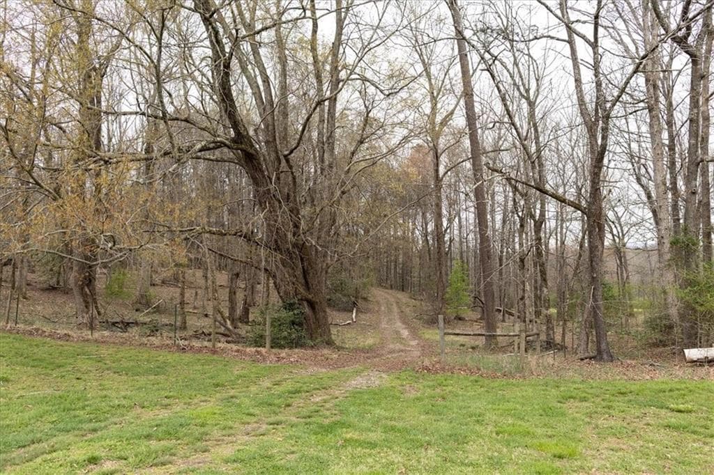 unimproved land for sale at 0 Reagan Road, Dawsonville, GA 30534 — photo 3
