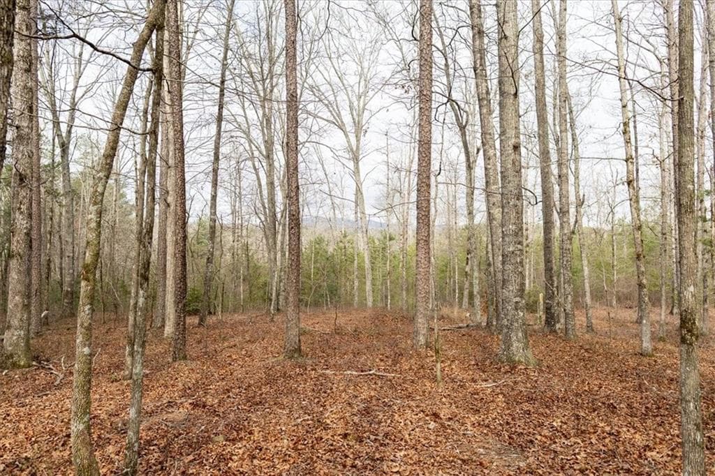 unimproved land for sale at 0 Reagan Road, Dawsonville, GA 30534 — photo 6