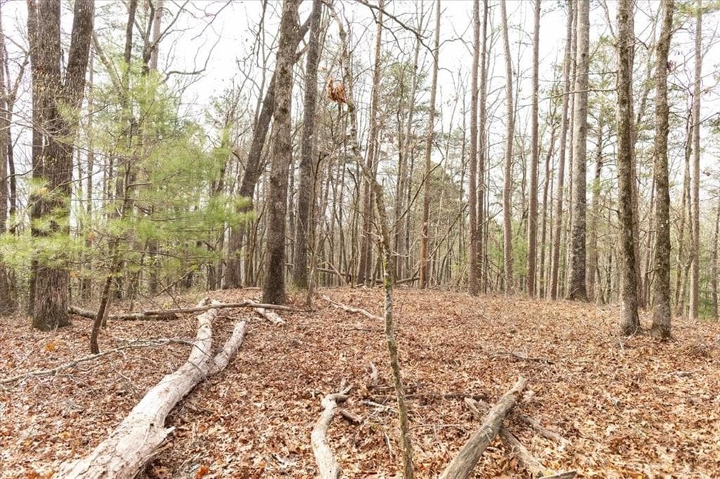 unimproved land for sale at 0 Reagan Road, Dawsonville, GA 30534 — photo 7