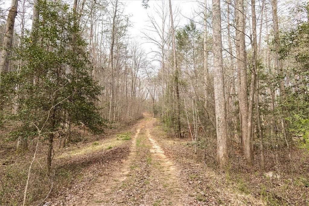 unimproved land for sale at 0 Reagan Road, Dawsonville, GA 30534 — photo 8