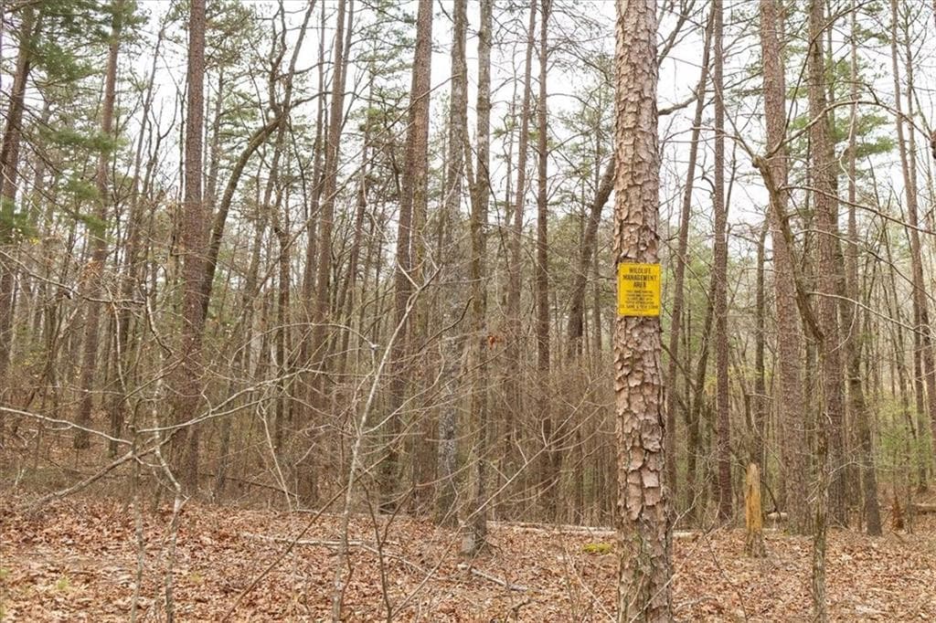 unimproved land for sale at 0 Reagan Road, Dawsonville, GA 30534 — photo 9