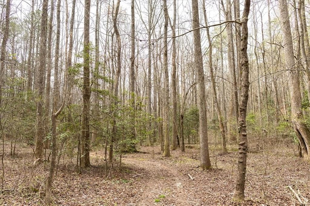 unimproved land for sale at 0 Reagan Road, Dawsonville, GA 30534 — photo 10