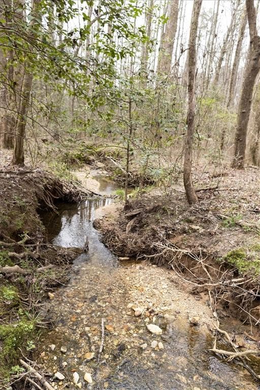 unimproved land for sale at 0 Reagan Road, Dawsonville, GA 30534 — photo 4