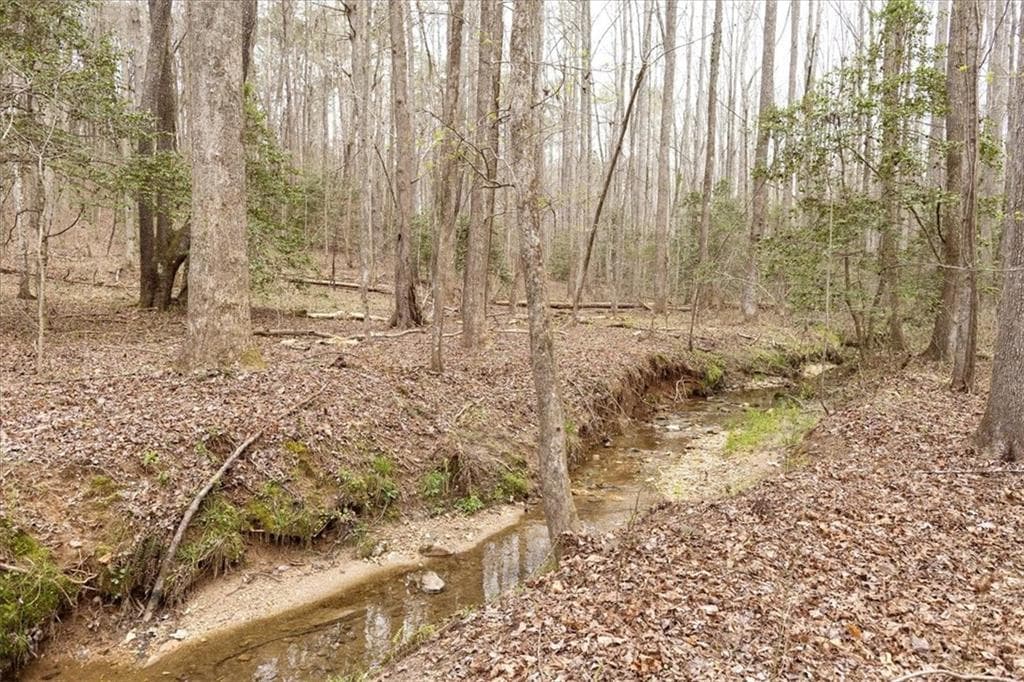 unimproved land for sale at 0 Reagan Road, Dawsonville, GA 30534 — photo 5