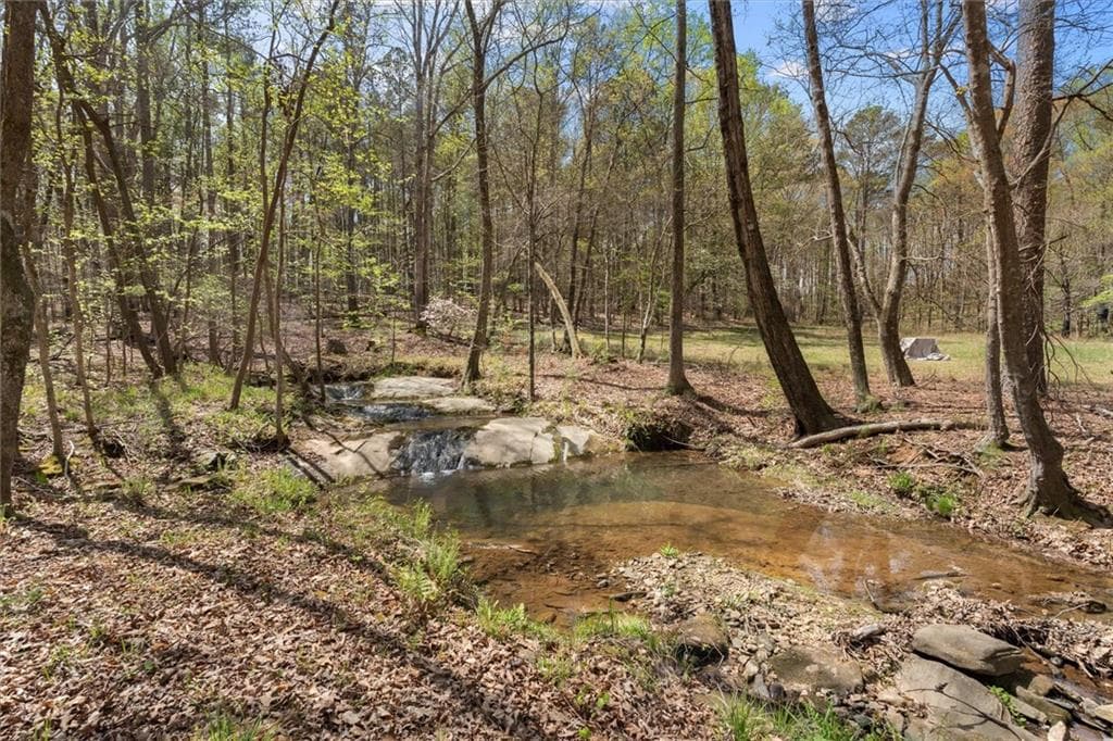 3 bedroom, 4 bathroom unimproved land for sale at 3880 Fern Springs Lane, Douglasville, GA 30135 — photo 5