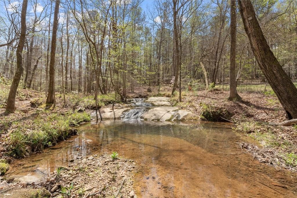 3 bedroom, 4 bathroom unimproved land for sale at 3880 Fern Springs Lane, Douglasville, GA 30135 — photo 7