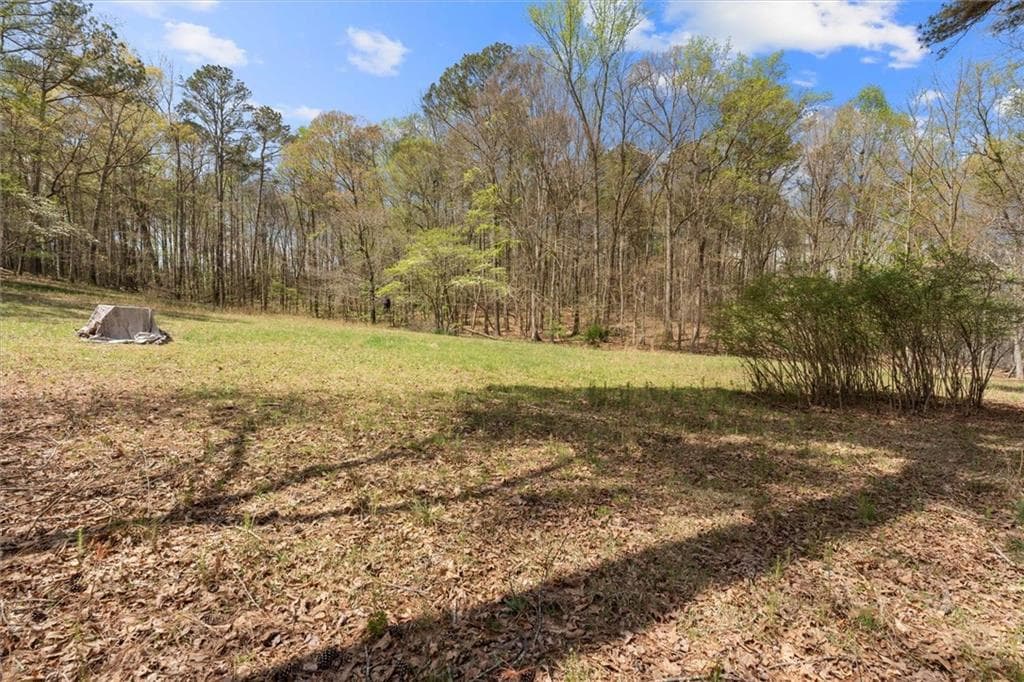 3 bedroom, 4 bathroom unimproved land for sale at 3880 Fern Springs Lane, Douglasville, GA 30135 — photo 8