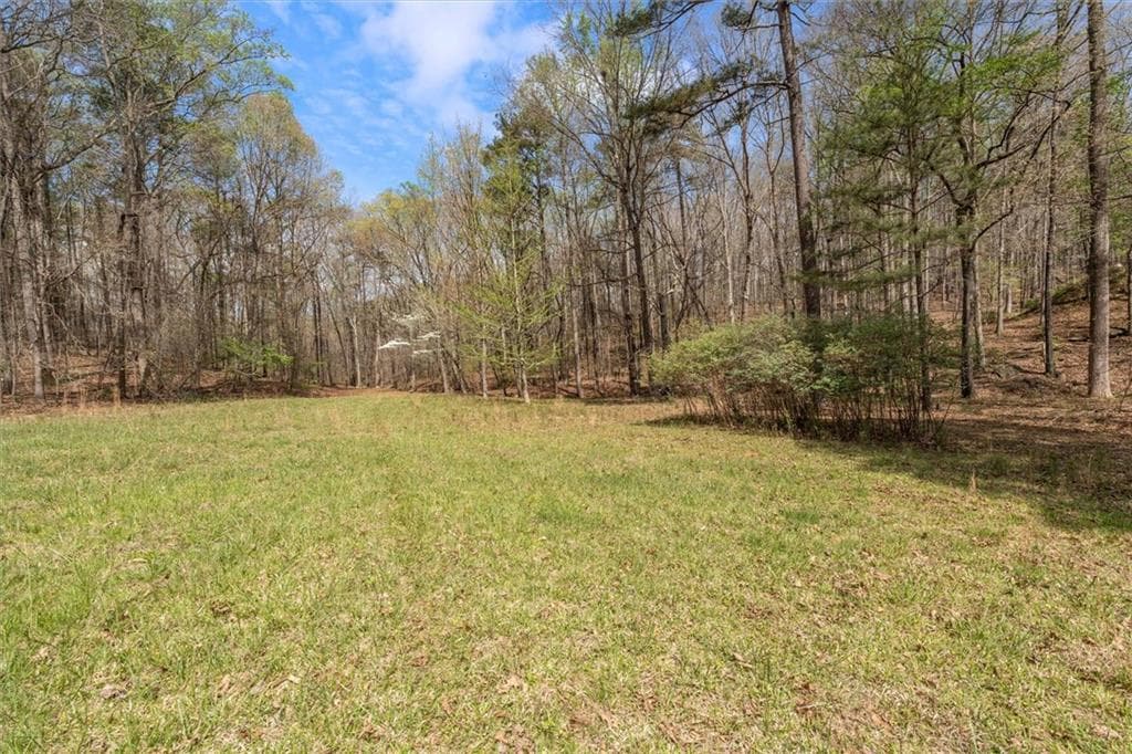 3 bedroom, 4 bathroom unimproved land for sale at 3880 Fern Springs Lane, Douglasville, GA 30135 — photo 9