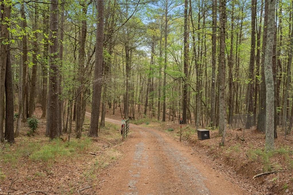 3 bedroom, 4 bathroom unimproved land for sale at 3880 Fern Springs Lane, Douglasville, GA 30135 — photo 10