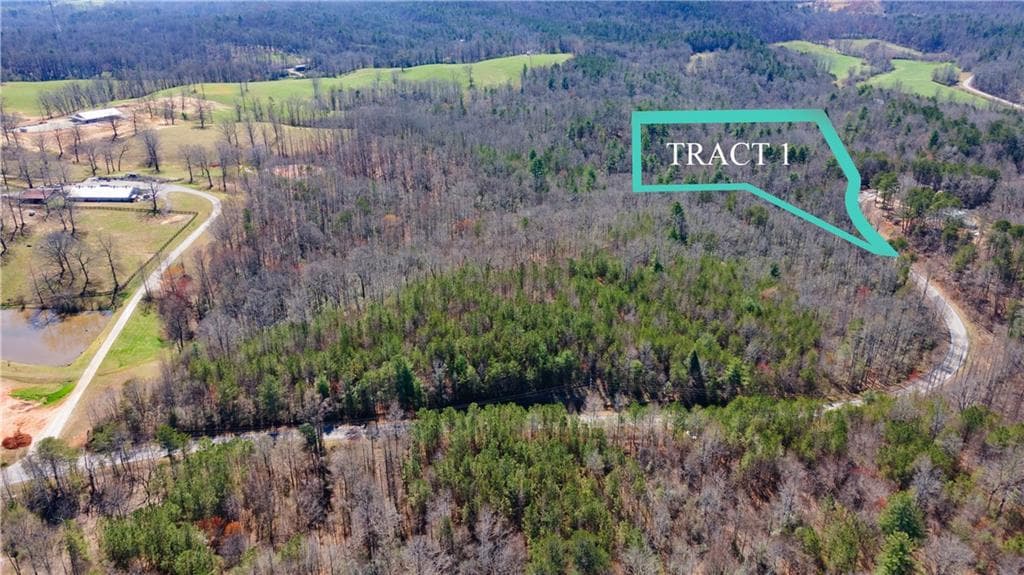 unimproved land for sale at 0 Afton #1 Road, Dawsonville, GA 30534 — photo 1 of 12