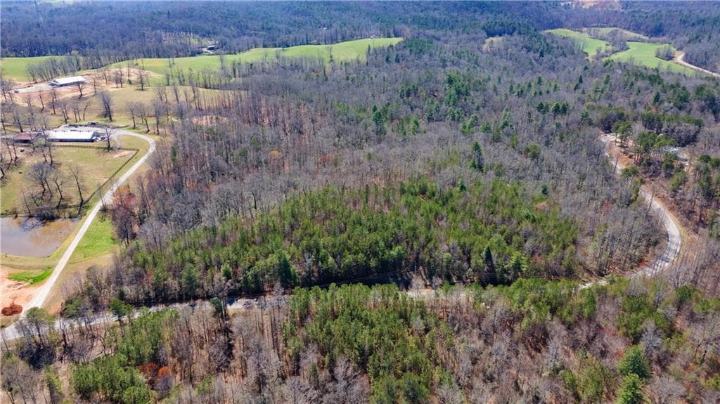 unimproved land for sale at 0 Afton #1 Road, Dawsonville, GA 30534 — photo 4