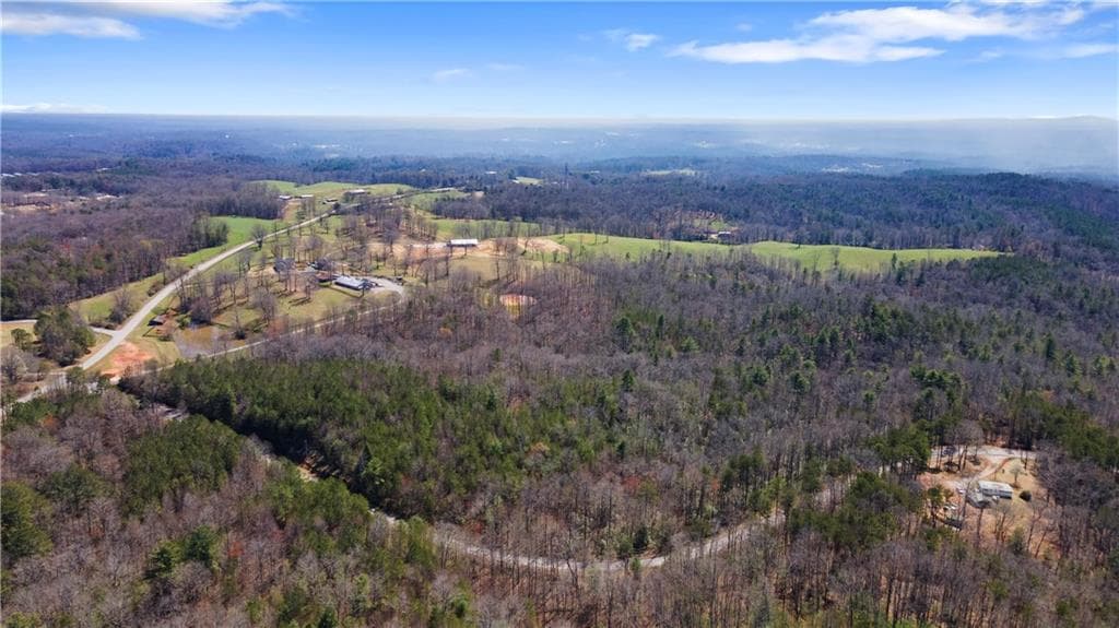 unimproved land for sale at 0 Afton #1 Road, Dawsonville, GA 30534 — photo 5