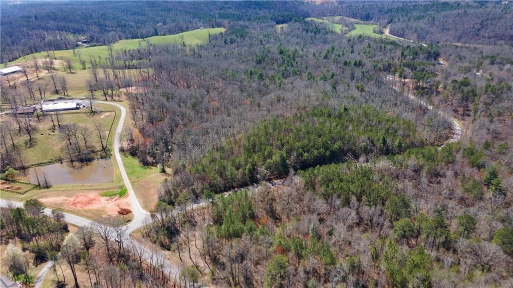 unimproved land for sale at 0 Afton #1 Road, Dawsonville, GA 30534 — photo 6