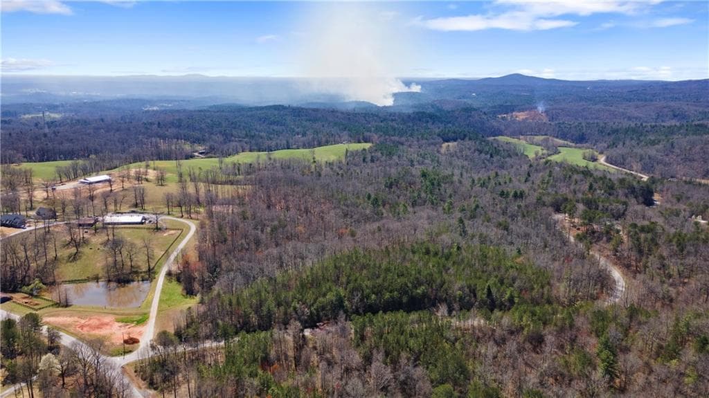 unimproved land for sale at 0 Afton #1 Road, Dawsonville, GA 30534 — photo 7