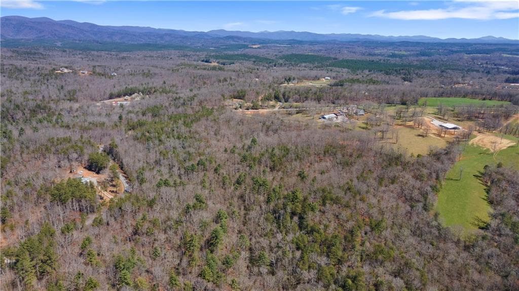 unimproved land for sale at 0 Afton #1 Road, Dawsonville, GA 30534 — photo 8
