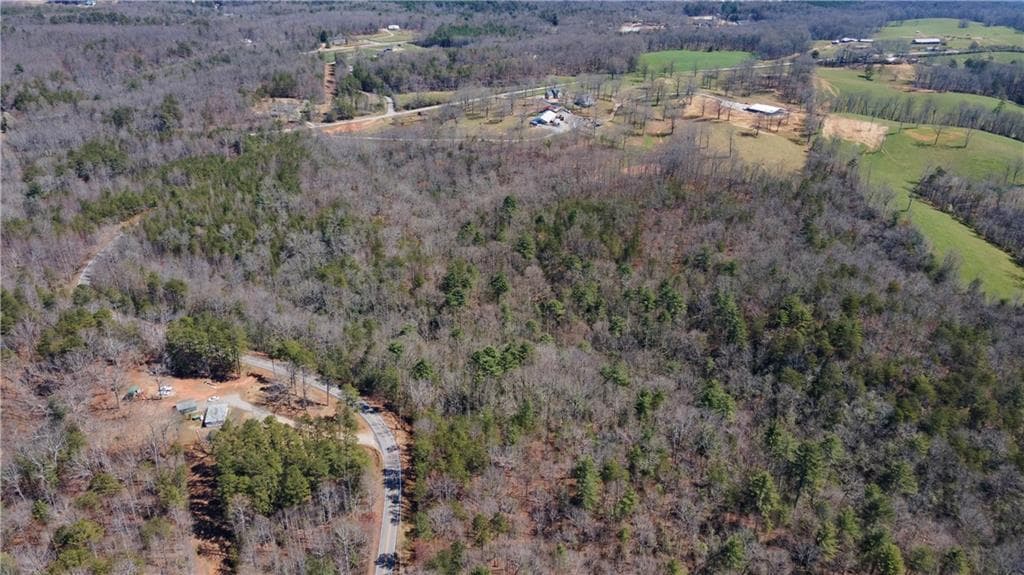 unimproved land for sale at 0 Afton #1 Road, Dawsonville, GA 30534 — photo 9