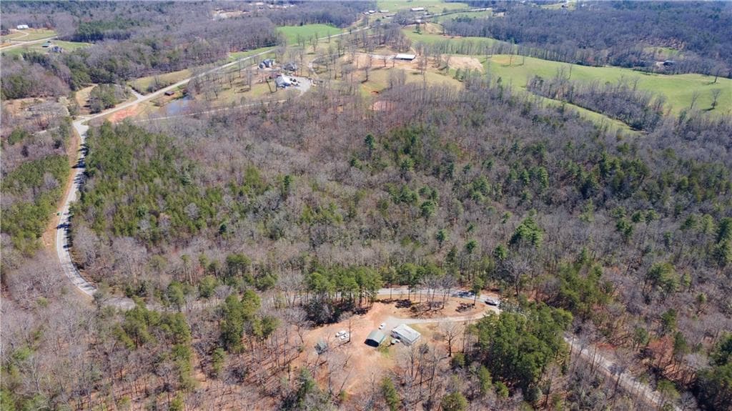 unimproved land for sale at 0 Afton #1 Road, Dawsonville, GA 30534 — photo 10