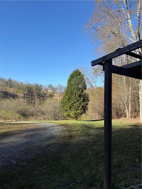 other under contract at 0 Blue Arrow Lane, Mineral Bluff, GA 30559 — photo 4