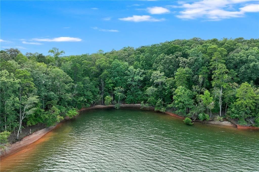 unimproved land for sale at 6598 Grand Marina Circle, Gainesville, GA 30506 — photo 9