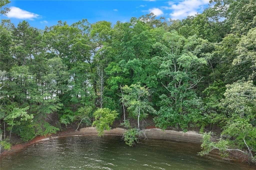 unimproved land for sale at 6598 Grand Marina Circle, Gainesville, GA 30506 — photo 10