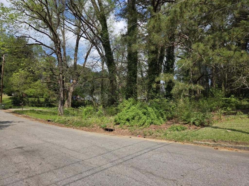 other for sale at 349 Chilton, Atlanta, GA 30318 — photo 3