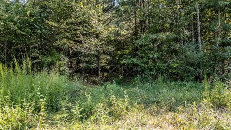 unimproved land for sale at 0 Clement Road, La Fayette, GA 30728 — photo 2